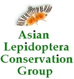 Click here to join the Asian Lepidoptera Conservation Group on Facebook